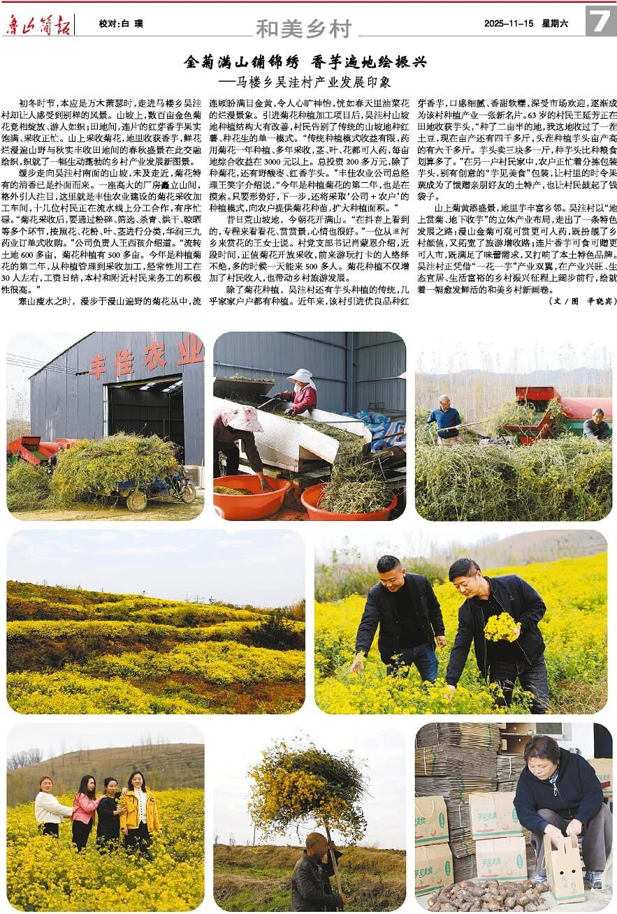 微信图片_2025-11-17_152657_591.jpg 微信图片_2025-11-17_152657_591.jpg