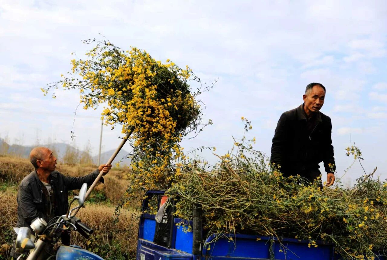 微信图片_2025-11-17_152640_701.jpg 微信图片_2025-11-17_152640_701.jpg